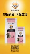 奧丁精品幼貓糧閃耀登場?。?！