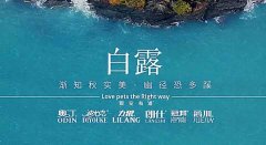 白露丨草木染露，秋韻漸濃