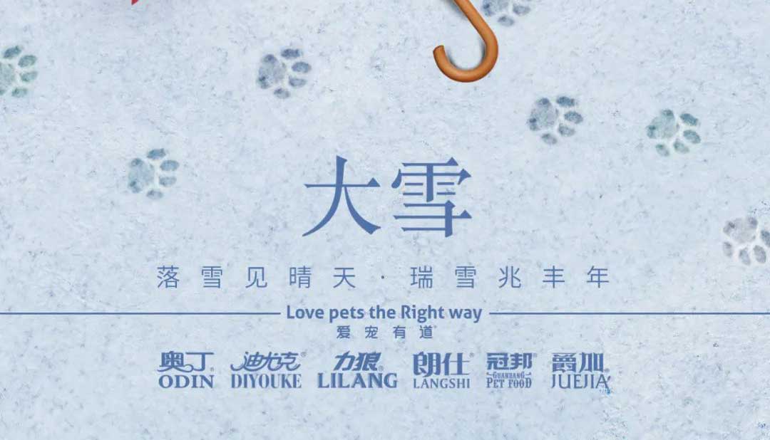 大雪丨雪落知寒意 久伴見初心！